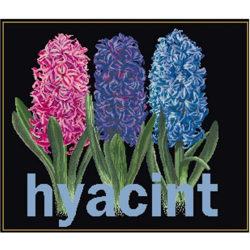 Thea Gouverneur Borduurpakket 434 Hyacint - zwart aida stof