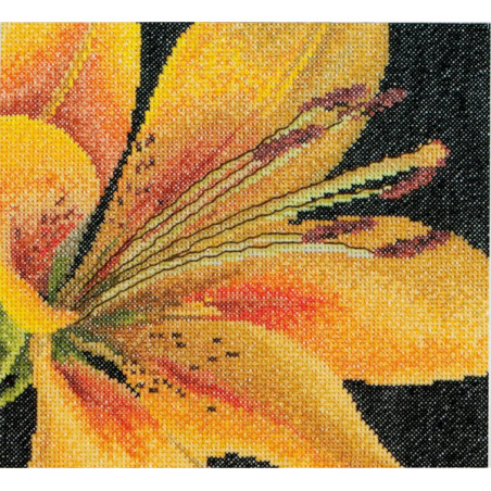 Borduurpakket lelie - Aida - 486A