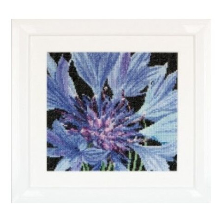 Borduurpakket korenbloem Thea Gouverneur 489 cornflower