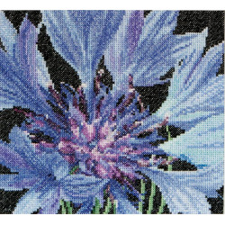 Borduurpakket korenbloem Thea Gouverneur 489 cornflower