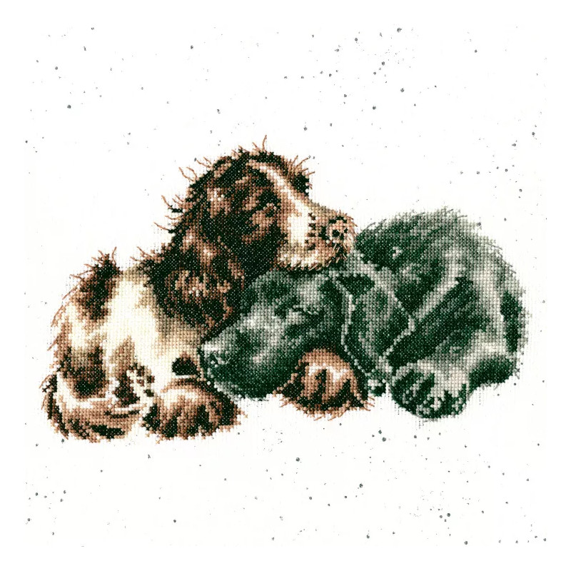 Bothy Threads borduurpakket Growing Old Together XHD104