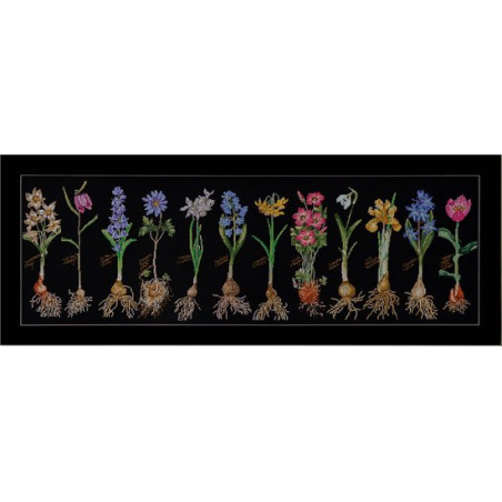 Thea Gouverneur bloembollen  1087.05 op zwarte aida