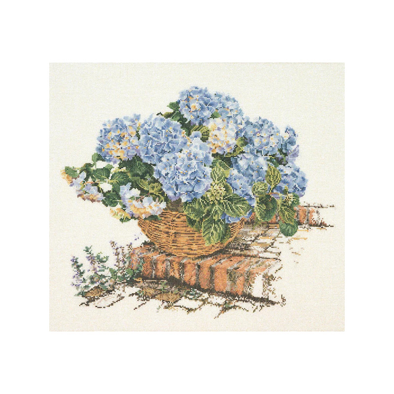 Blauwe Hortensia  2046 Thea Gouverneur