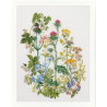 Borduurpakket Thea Gouverneur 424A Wilde Kruiden