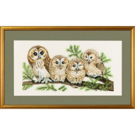 Eva Rosenstand borduurpakket uilen 94-146 aida