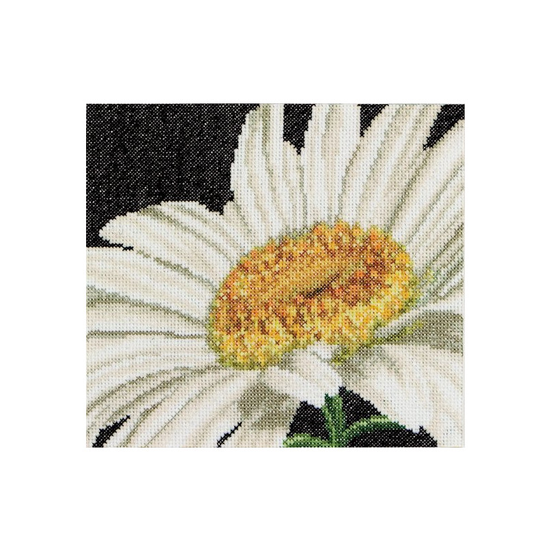 Thea Gouverneur - Borduurpakket margriet - 490