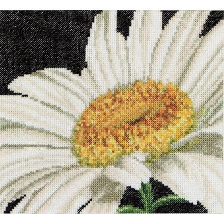 Thea Gouverneur - Borduurpakket margriet - 490