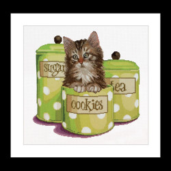 THEA GOUVERNEUR BORDUURPAKKET, COOKIE TIME 735