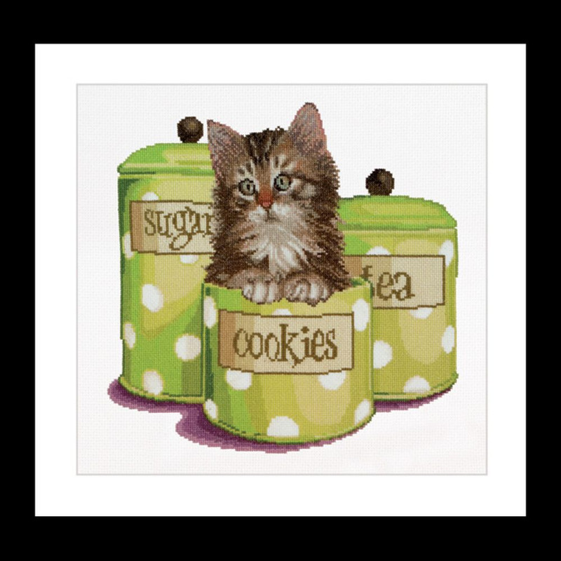 THEA GOUVERNEUR BORDUURPAKKET, COOKIE TIME 735