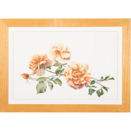 Just Joey - Linnen  414 rozen Thea Gouverneur