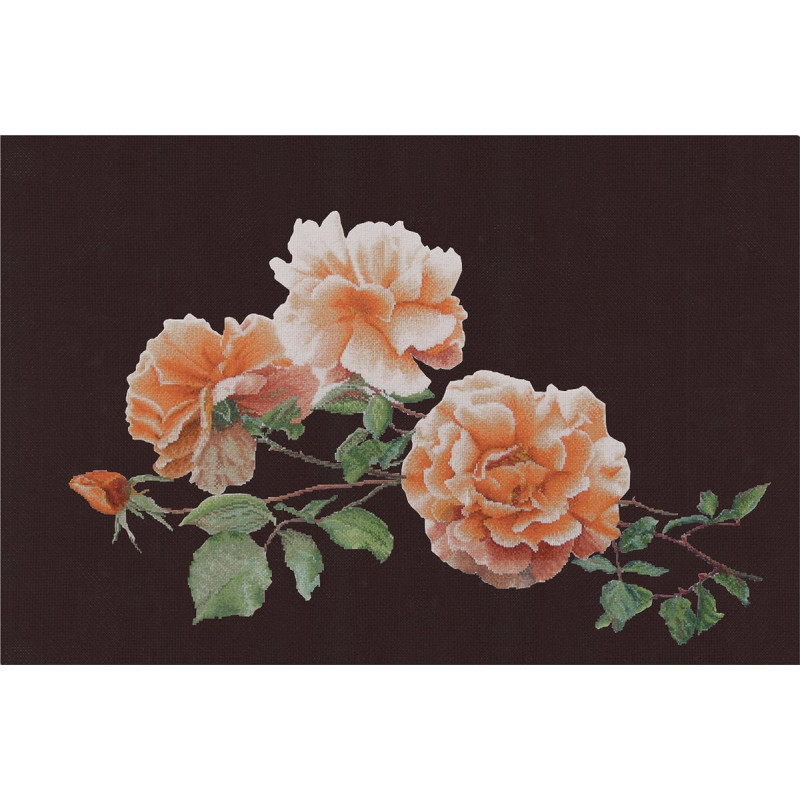 Just Joey -414.05 zwart rozen Thea Gouverneur