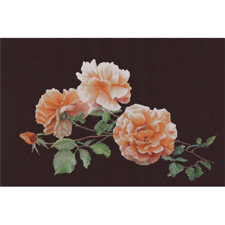 Just Joey -414.05 zwart rozen Thea Gouverneur