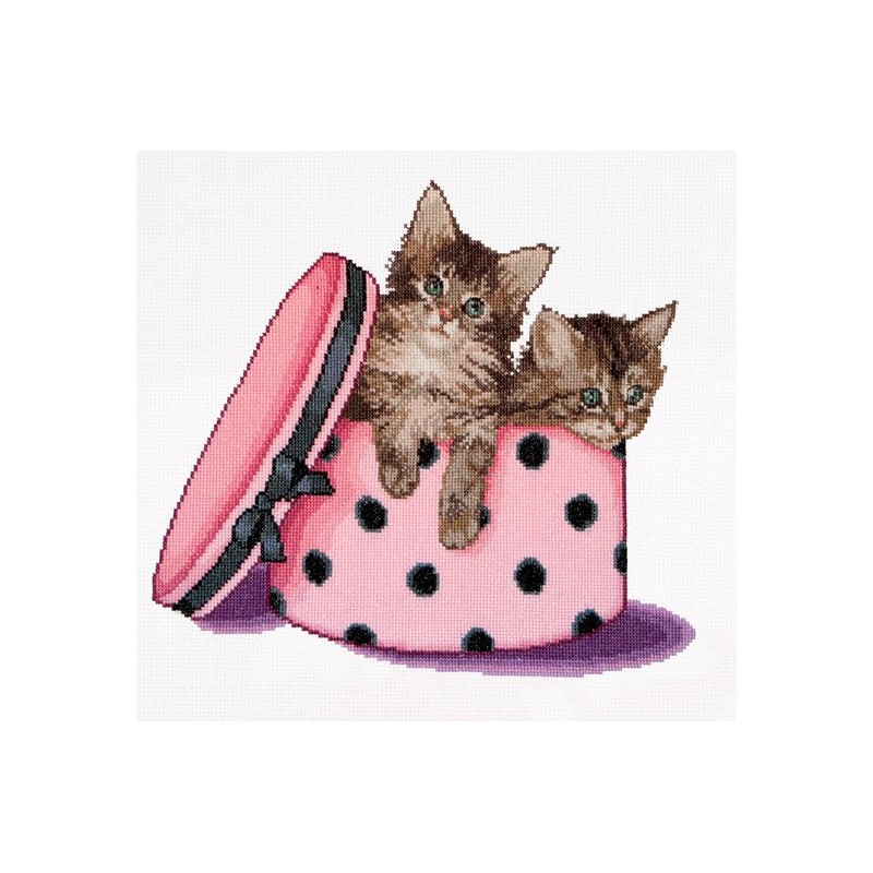 Thea Gouverneur 734A  Kitten Tweeling