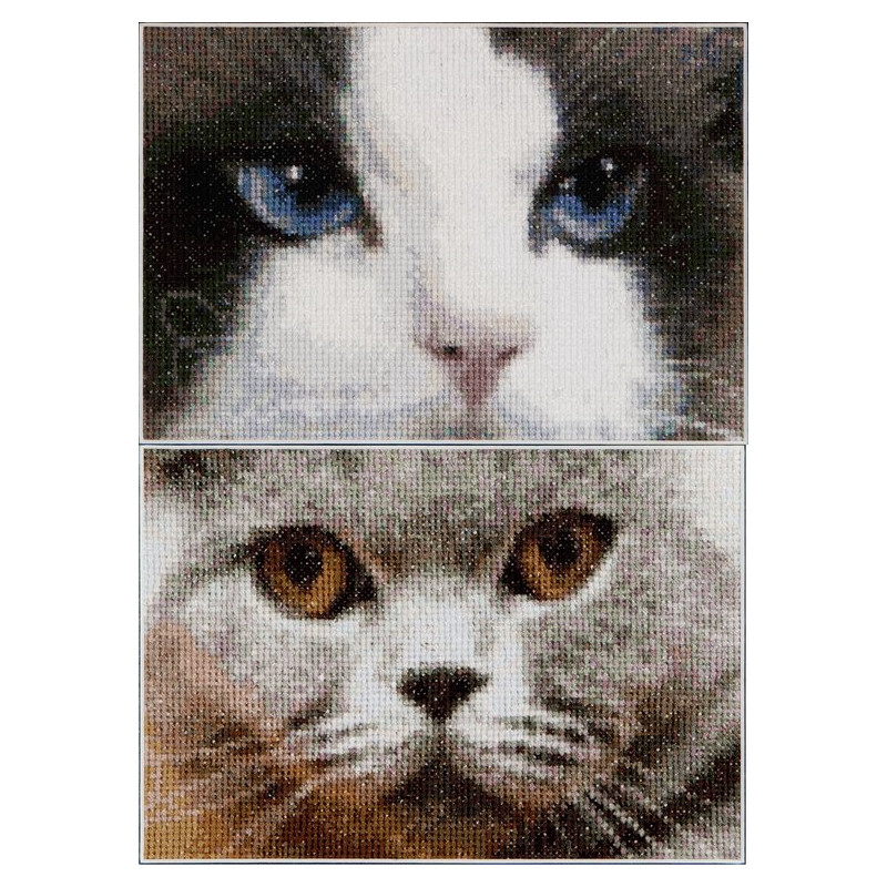 Thea Gouverneur 542A  Katten Smokey + Blu - Aida 2 patronen