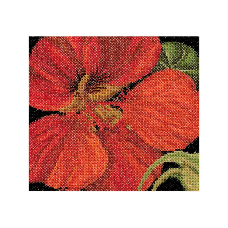 Thea Gouverneur Oost-Indische kers - Aida 49a