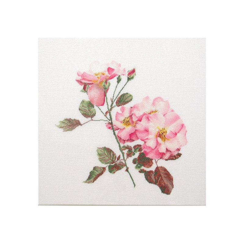 Thea Gouverneur 412A Roos Leersum - Aida