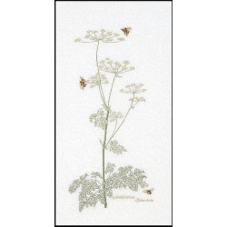 Thea Gouverneur 1067 Fluitenkruid