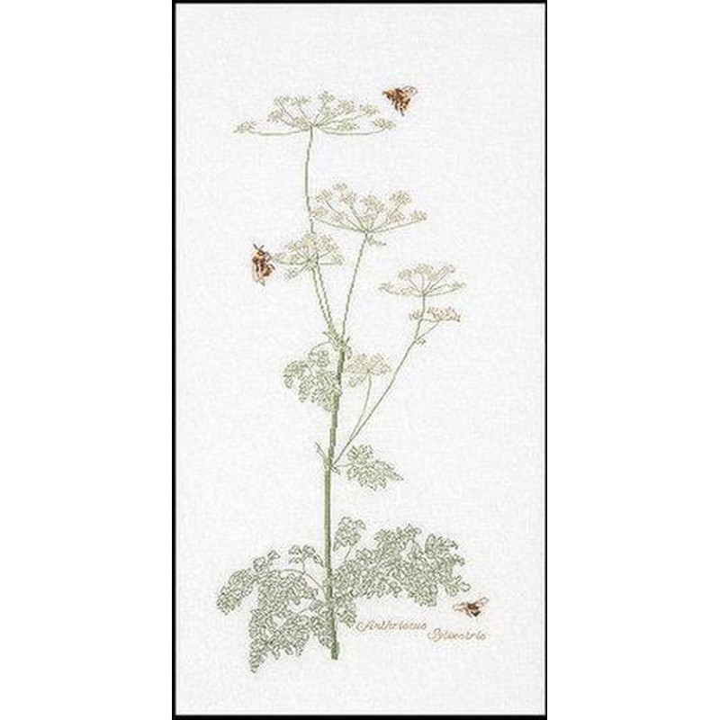 Thea Gouverneur 1067 Fluitenkruid