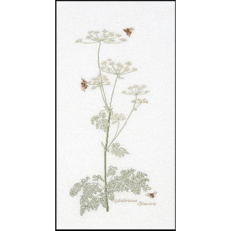 Thea Gouverneur 1067 Fluitenkruid