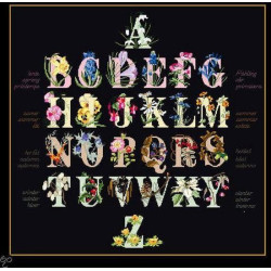 Thea Gouverneur 2025.05 Letterlap - Aida stof zwart