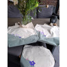 Home CAL Bloementas Evelyn