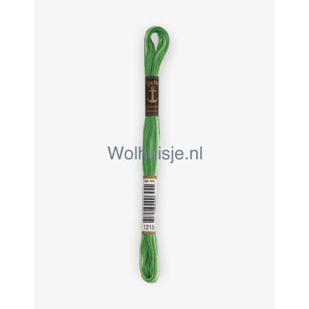 Anchor mouline 6 draads borduurgaren 1215 ombre grasgroen 8m