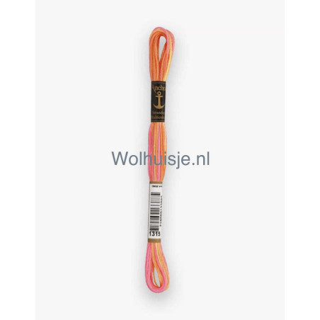 Anchor mouline 6 draads borduurgaren multicolor 1315 rood en geel tinten 8m