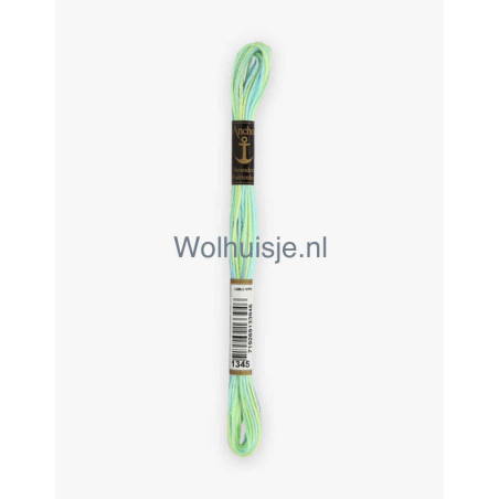 Anchor mouline 6 draads borduurgaren multicolor 1345 blauw en  groen tinten 8m