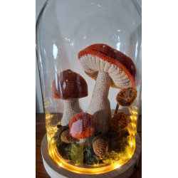 Pakket Paddenstoelenstolp Hobby handig 255