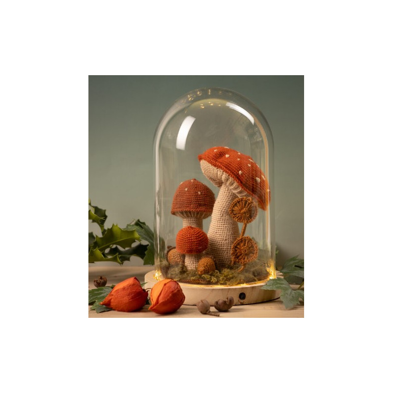 Pakket Paddenstoelenstolp Hobby handig 255