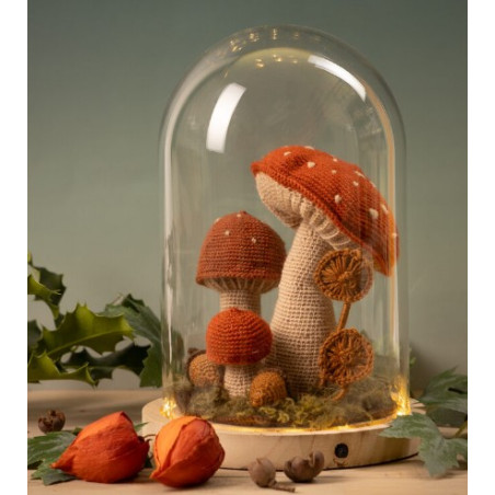 Pakket Paddenstoelenstolp Hobby handig 255