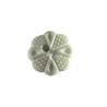 knoop bloem mint 13,5mm   50331
