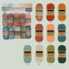 Scheepjes Catona en Chroma colour pack 10x25g - Harvest T 24963