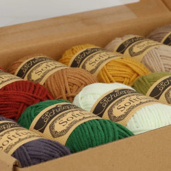 Scheepjes Softfun colour pack 12x20g Autumn Walk 24941