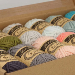 Scheepjes Softfun colour pack 12x20g Trop. Paradise 24939