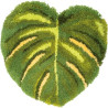 Knoopvormtapijt kit Monstera blad Art nr. PN-0201698