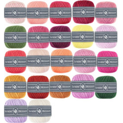 Blossom Kleuren voor boeket haken A la Sascha (alle gebruikte kleuren in boek)