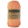 Catona 524 Apricot