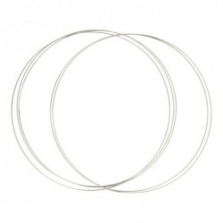 DROMENVANGER RING 30CM RVS