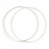 DROMENVANGER RING 30CM RVS