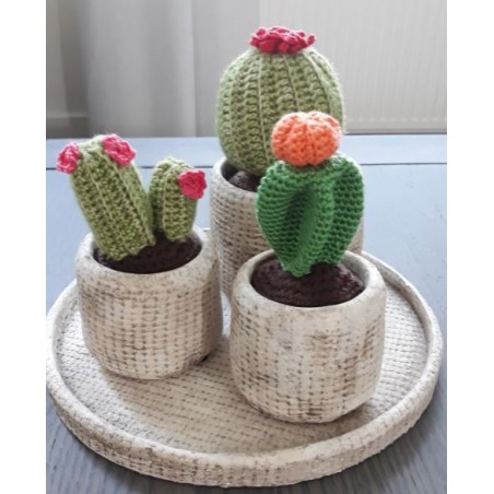 Haakpatroon 3 cactussen