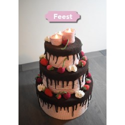 HOME jubileum uitgave 25 jaar!