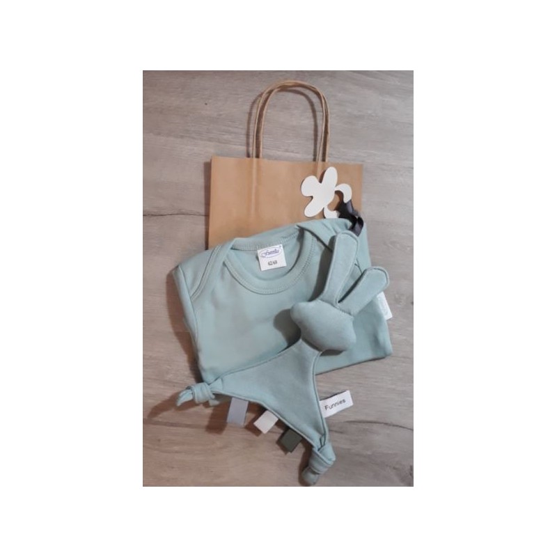 Babypakket Line Stone green romper( je kan het) met snoes tut