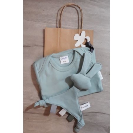 Babypakket Line Stone green romper( je kan het) met snoes tut