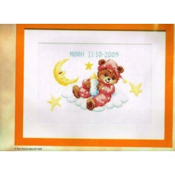 Geboortetegel Noah  225.293 ster maan