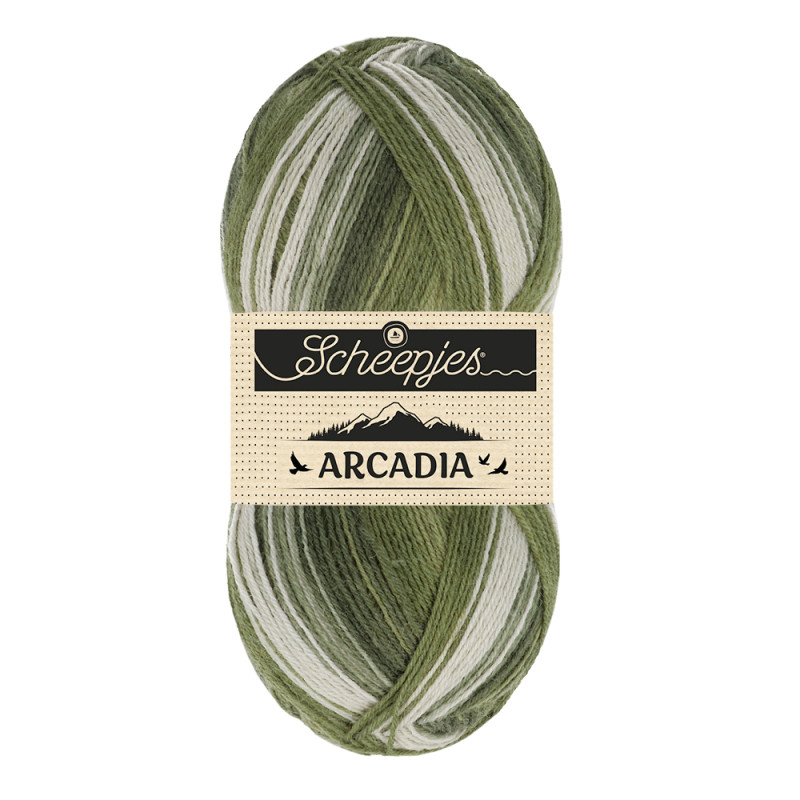 Scheepjes Arcadia 1x100g - 905 Rainforest sokkenwol