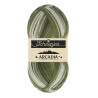 Scheepjes Arcadia 1x100g - 905 Rainforest sokkenwol