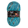 Opal Passion 6-draads 150gr - 11375