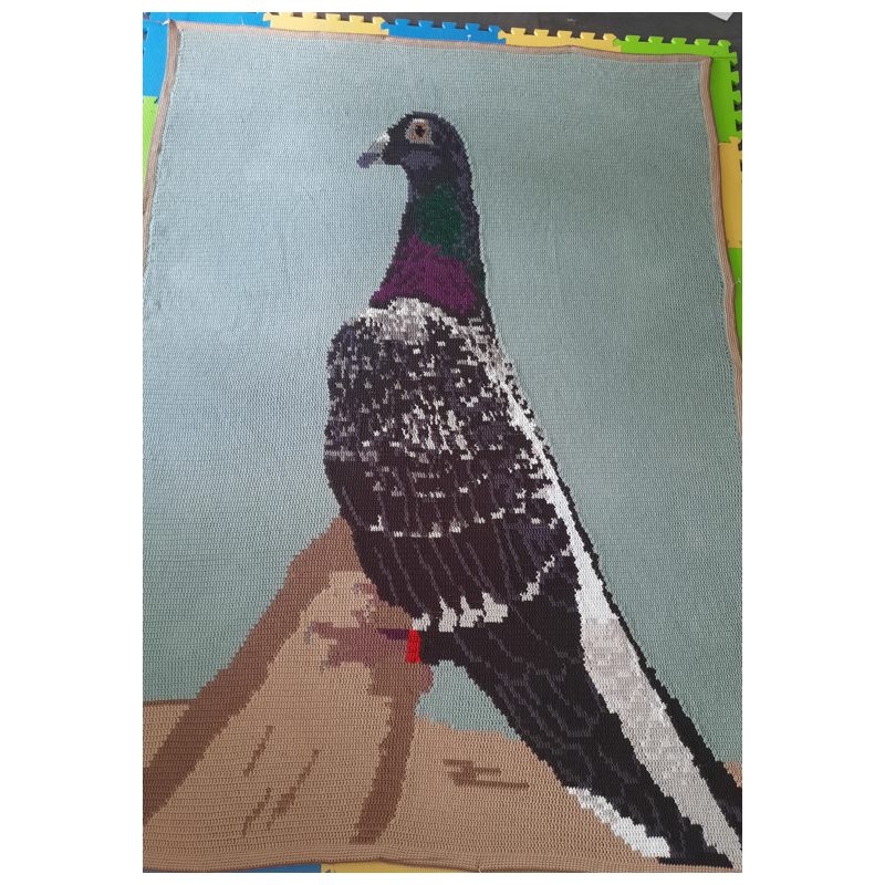 Haakpatroon deken duif, van foto