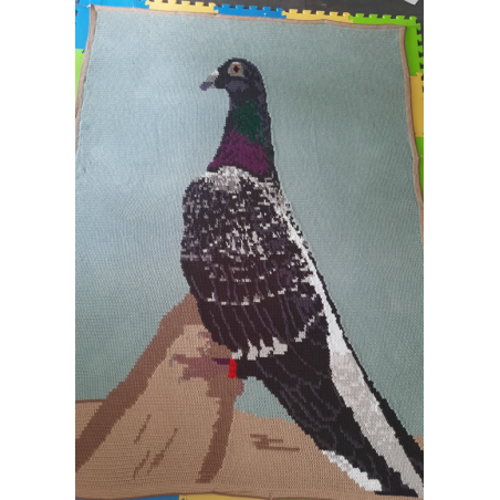 Haakpatroon deken duif, van foto